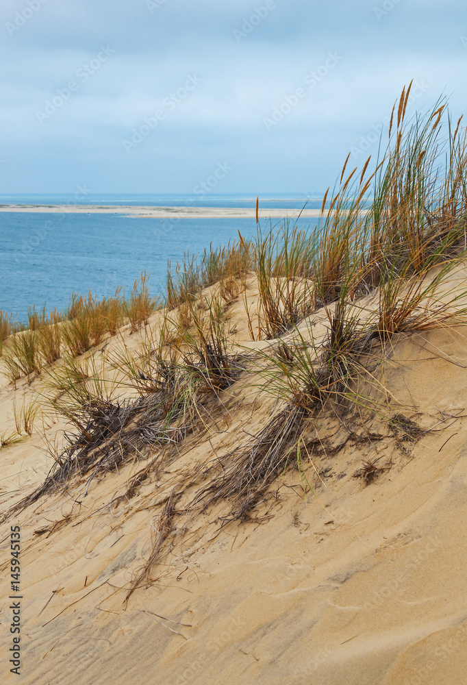 Grass-covered slope of the Dune of Pyla - highest sand dune in Europe near Arcachon, against the desert landscape and endless blue Atlantic ocean, France Grass-covered slope of the Dune of Pyla - highest sand dune in Europe near Arcachon, against the desert landscape and endless blue Atlantic ocean, France