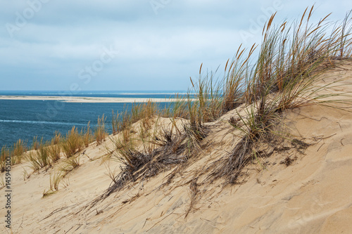 Grass-covered slope of the Dune of Pyla - highest sand dune in Europe near Arcachon, against the desert landscape and endless blue Atlantic ocean, France