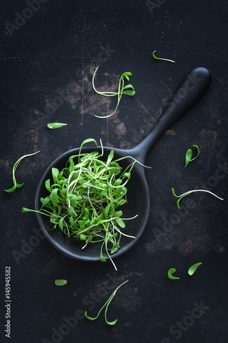 grüne Kresse aus dem Garten auf einem Löffel auf einem dunklen Metalluntergrund photo