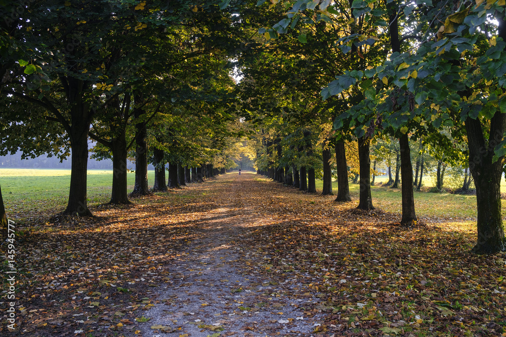Fototapeta premium Monza (Italy): the park at fall