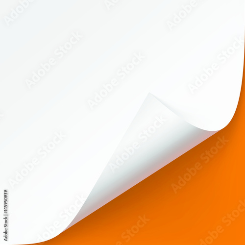 Vector Curled corner of White paper with shadow Mock up Close up Isolated on Orange Background