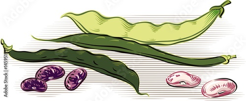 Two pods of green beans and yellow beans a pod.