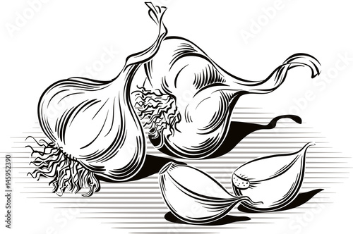 Two cloves garlic and placed on a plane.
