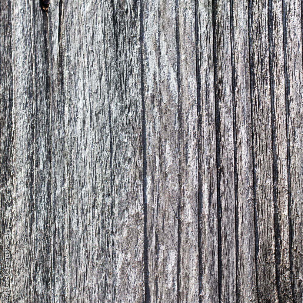 grainy wooden board with old paint for worn out board grainy wooden board with old paint for worn out board