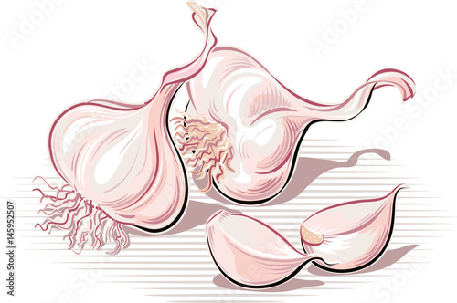 Two cloves garlic and placed on a plane.