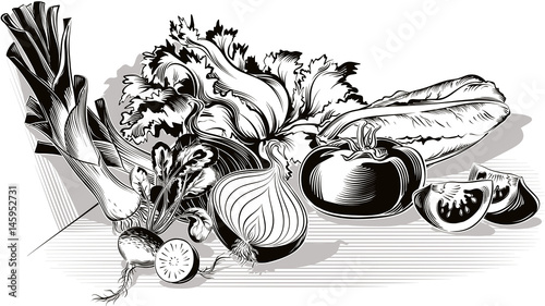 Composition with tomatoes, onion, lettuce, leeks, and a radish.