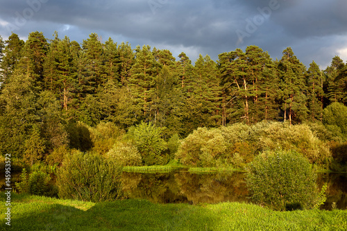 Fototapeta Naklejka Na Ścianę i Meble -  Лесной пейзаж на берегу реки