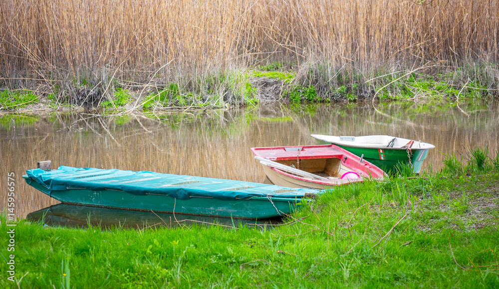 Altwasserarm der March bei Markthof im Marchfeld mit Booten im Wasser, angebunden an einem alten Baum Altwasserarm der March bei Markthof im Marchfeld mit Booten im Wasser, angebunden an einem alten Baum