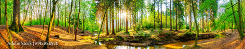 Wald Panorama mit Bach und Sonne