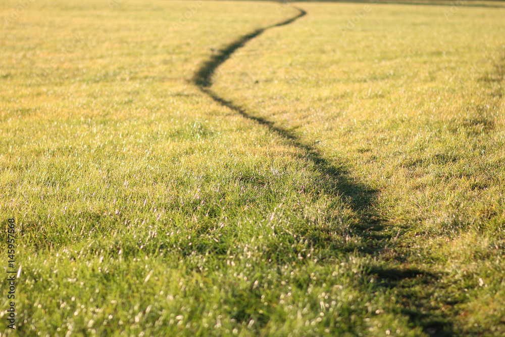 Fototapeta premium Footpath in the field