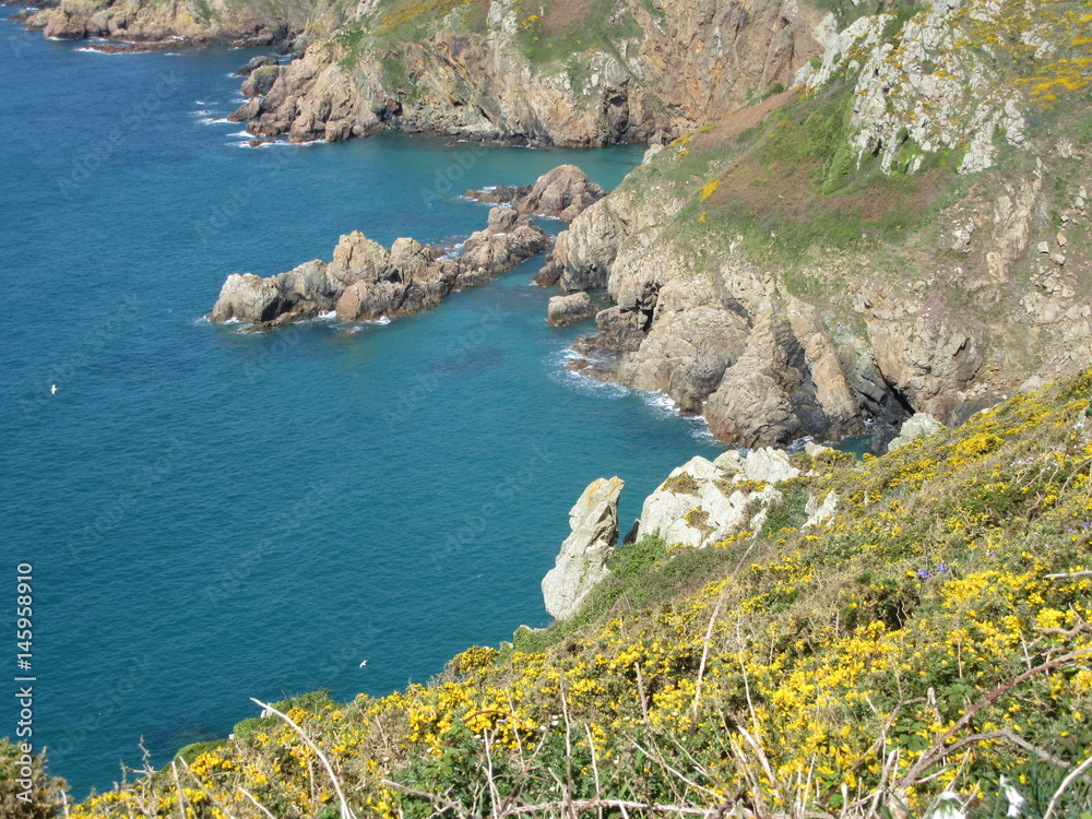 Fototapeta premium Guernsey bays from clifftop