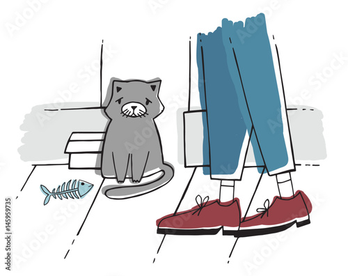 The stray cat at street