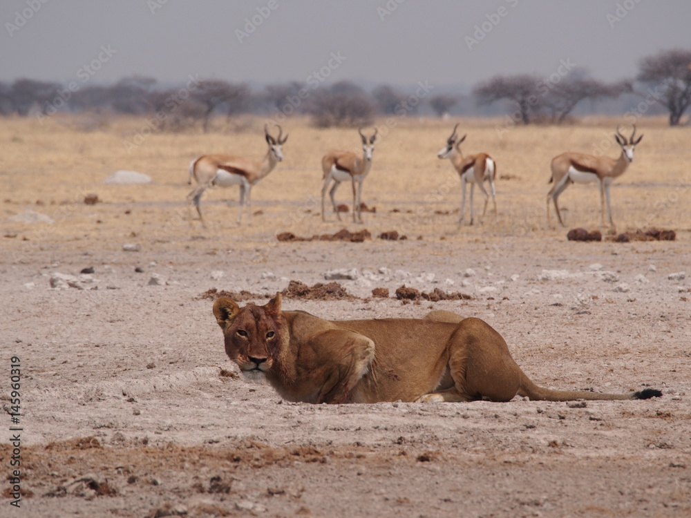 Botswana Botswana