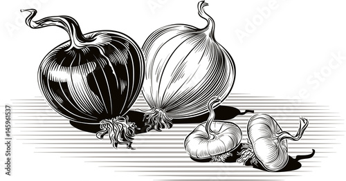 Copper onion and white onion, whole and two onions.