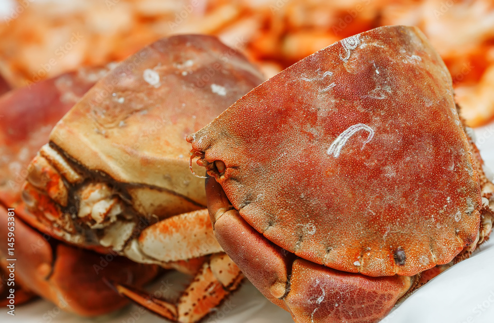 half of fresh crab on ice for sale in a fish market half of fresh crab on ice for sale in a fish market
