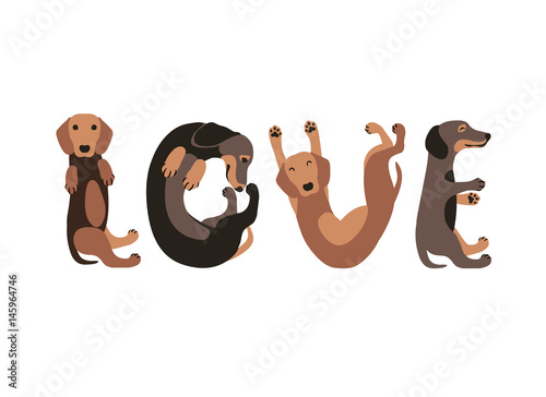 Word "love" of dachshund dogs