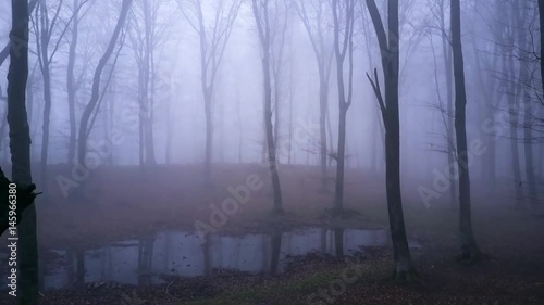 Aerial flying in foggy forest over creepy small lake
