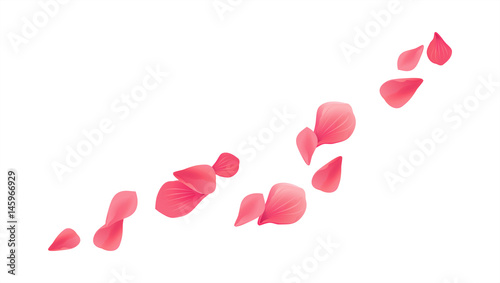 Pink Red flying petals isolated on white background. Sakura Roses petals. Vector 
