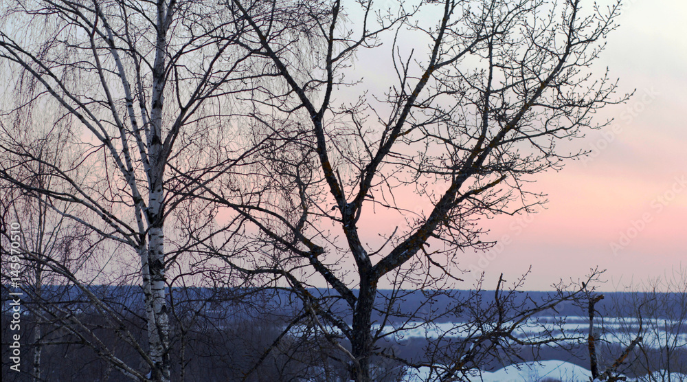 Obraz premium Pink sunset in winter
