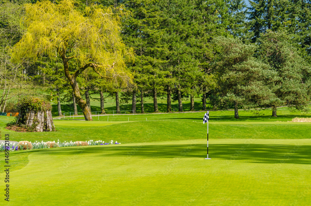 Obraz premium Golf course with gorgeous green.