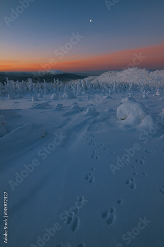 Dawn on snowy mountain top.