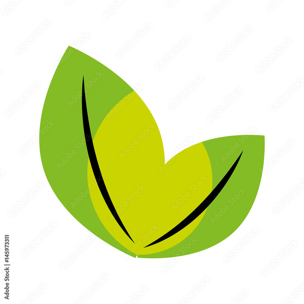 leaf plant isolated icon vector illustration design leaf plant isolated icon vector illustration design