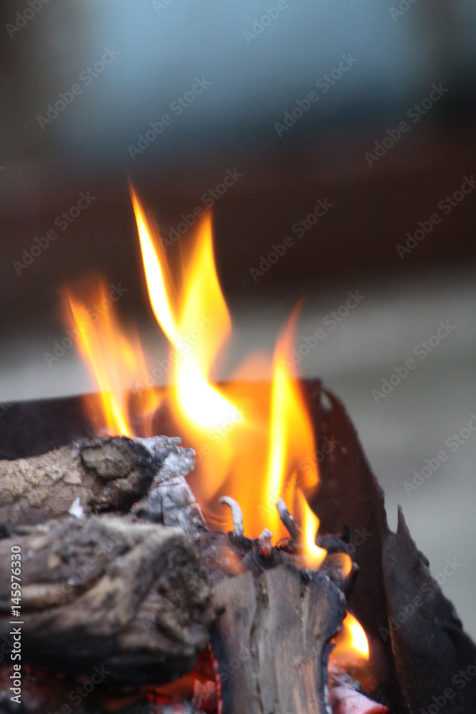 Burning firewood, glowing logs, fire and flames Burning firewood, glowing logs, fire and flames