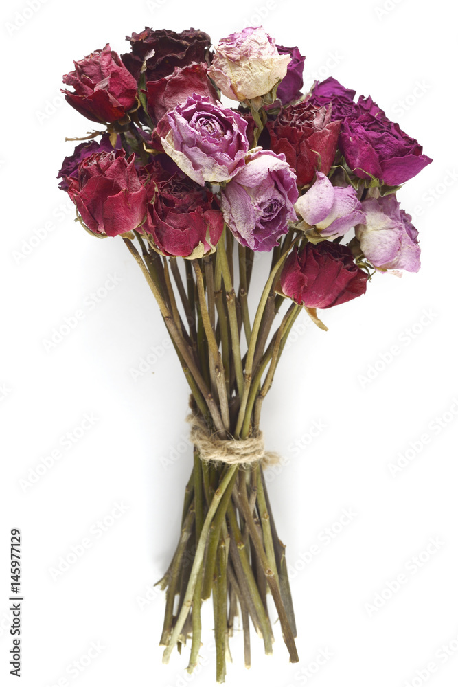 Fototapeta premium bukiet suszonych róż na białym