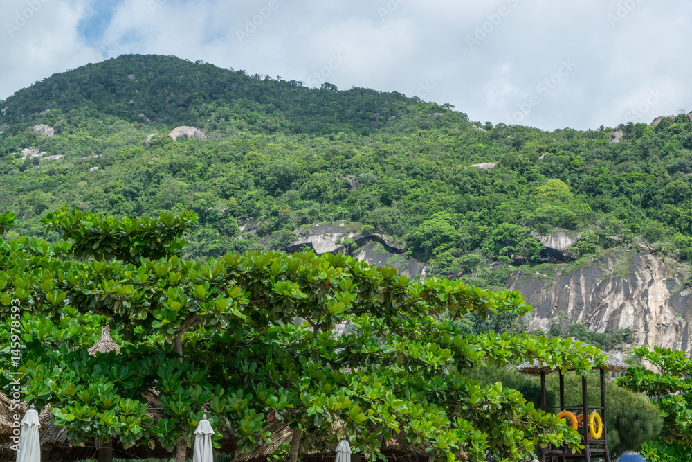 Mountain covered by jungle, Vietnam, South-East Asia