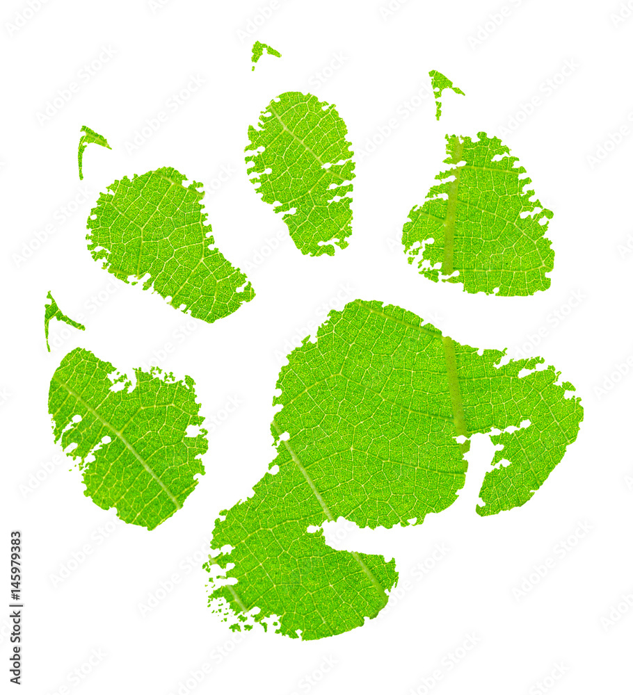 Green animal footprint