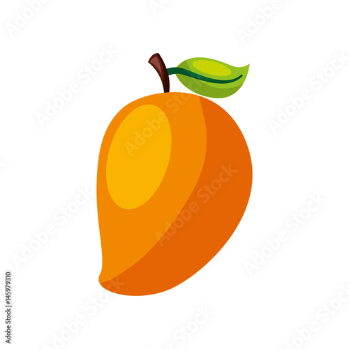mango fresh fruit icon vector illustration design