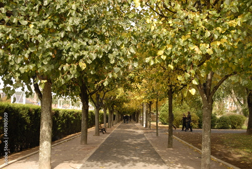 Park in Saint Die des Vosges, Frankreich