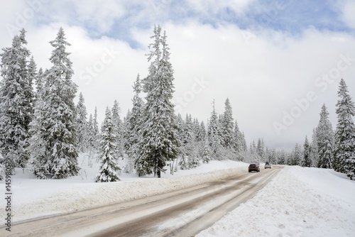 Road through a Winter Wonderland - Salen in Sweden. © a40757se