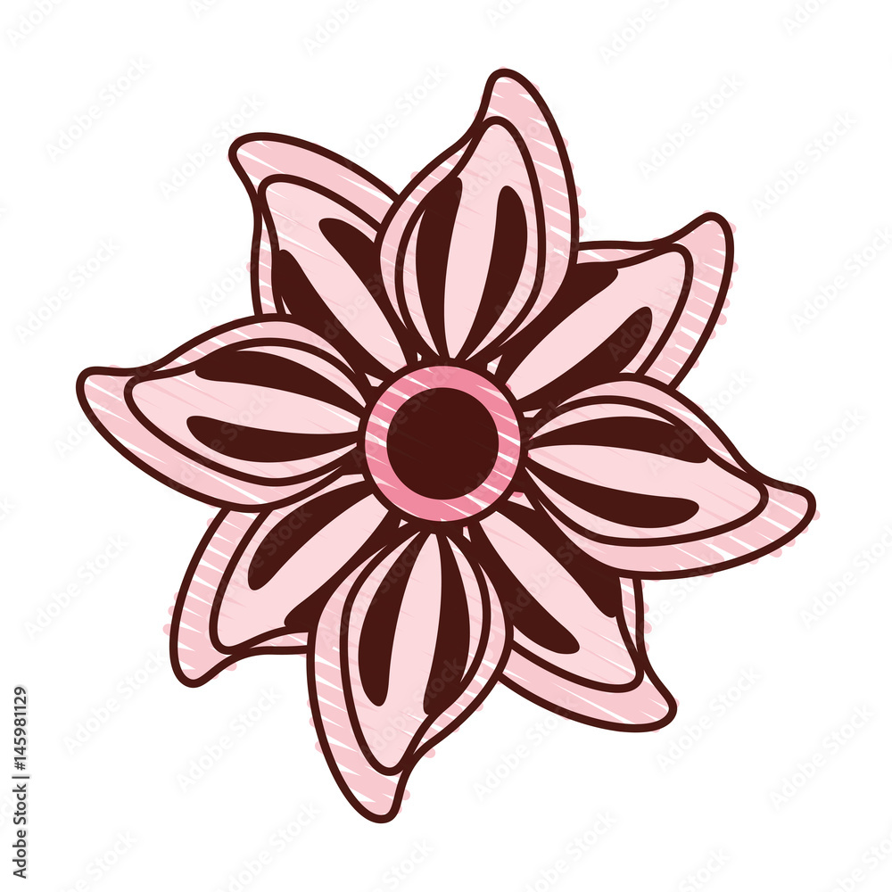beautiful flower decorative icon vector illustration design beautiful flower decorative icon vector illustration design