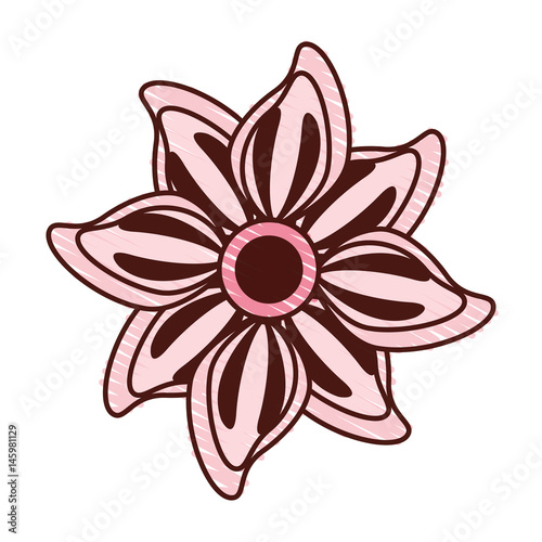 beautiful flower decorative icon vector illustration design