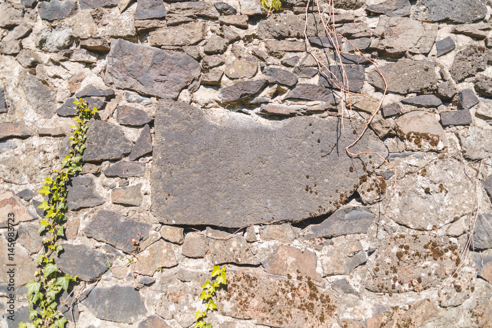 Fototapeta premium stone with sace for text