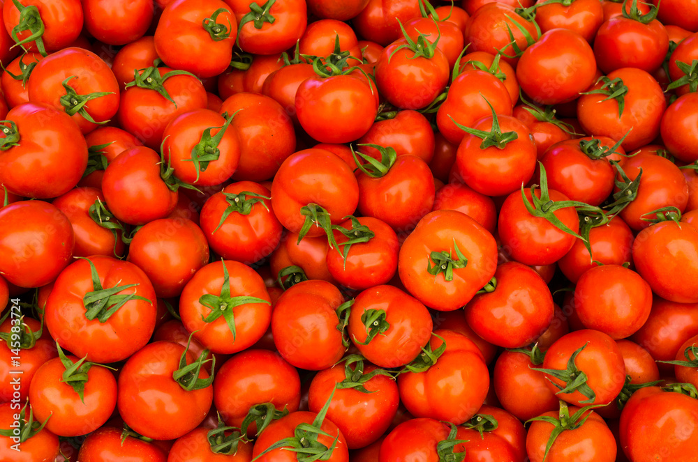 group of red tomatoes group of red tomatoes