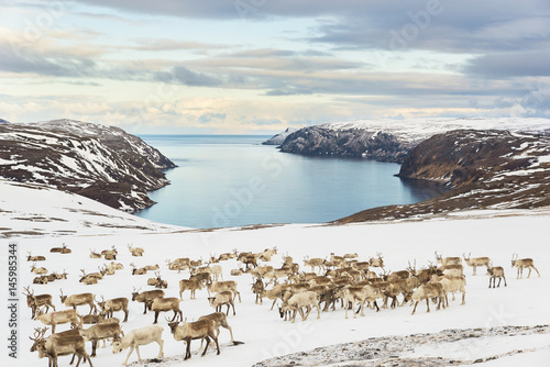 Tufjorden (Nordkapp) © Sergei
