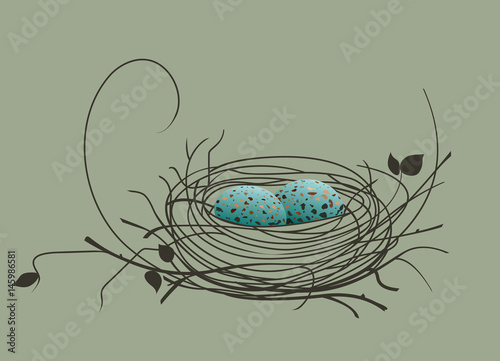 Bird eggs in the nest