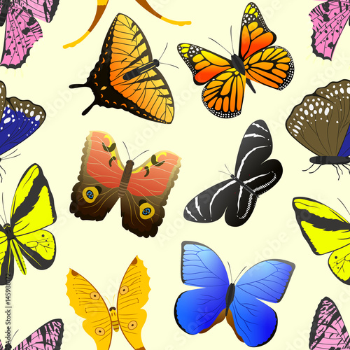 Colorful different butterfly wings seamless pattern vector illustration. © Vectorwonderland