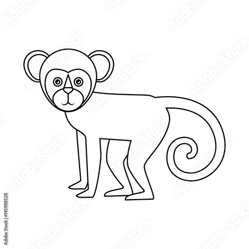 Titi monkey isolated icon vector illustration design