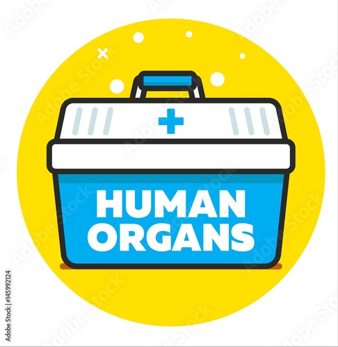 Organ transplantation concept