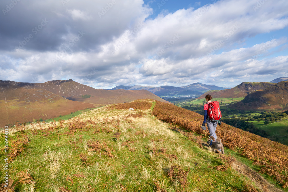 A hiker walking down towards High Snab Bank from the summit of Robinson in the Lake District, England, UK. A hiker walking down towards High Snab Bank from the summit of Robinson in the Lake District, England, UK.