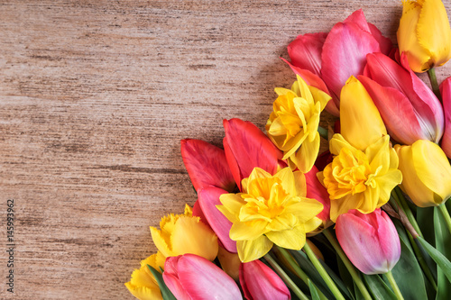 Fototapeta Naklejka Na Ścianę i Meble -  Bright tulips daffodil flowers with text space