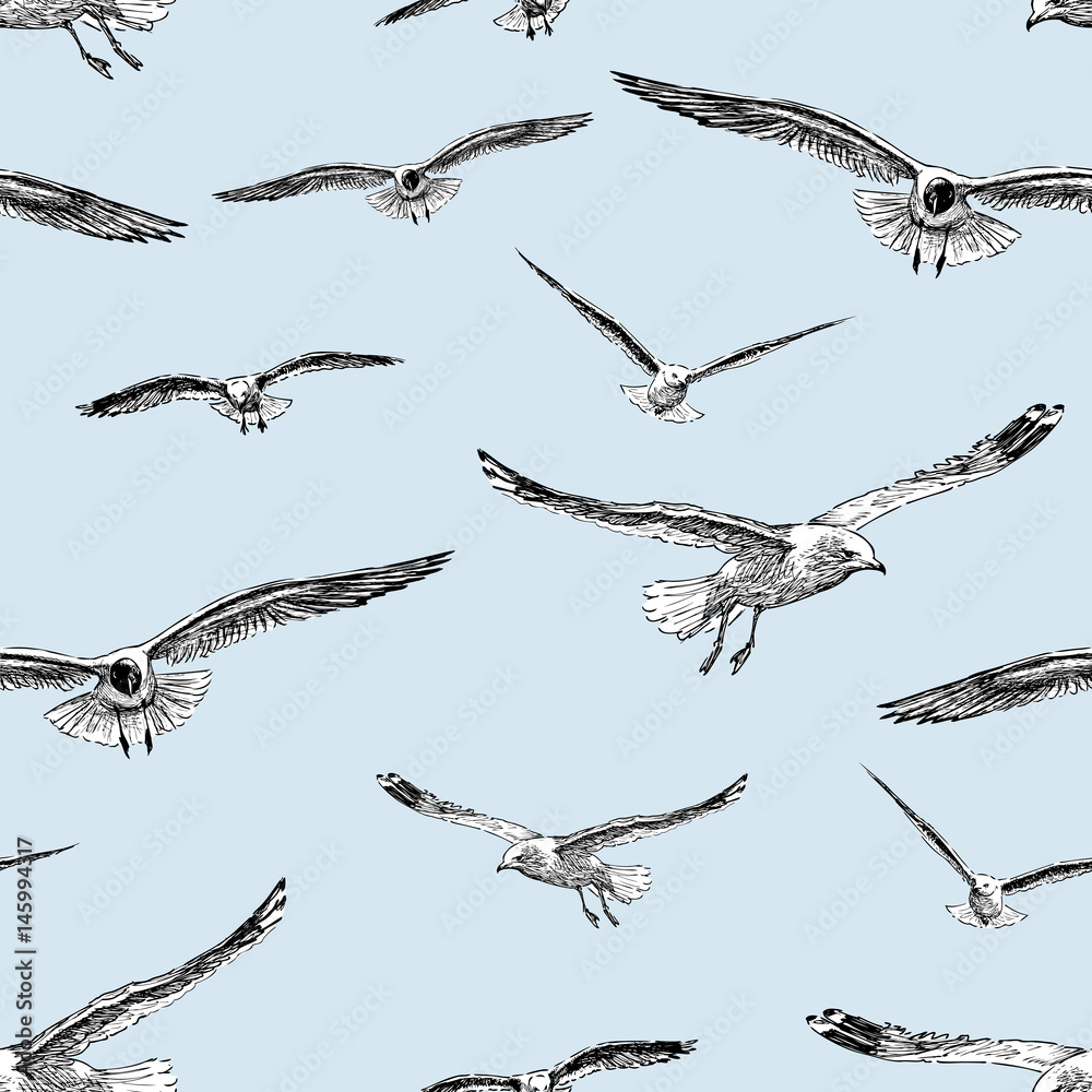 Obraz premium sketches of the flying gulls