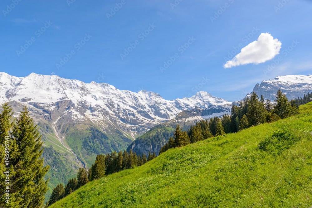 The Swiss Alps at Murren, Switzerland. Jungfrau Region. The valley of Lauterbrunnen from Interlaken.
