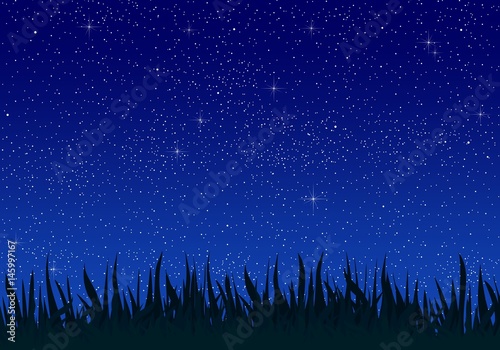 Summer night landscape with grass leaves in the meadow and blue sky with shining and ligating stars. Beautiful romantic bright dark sky at night