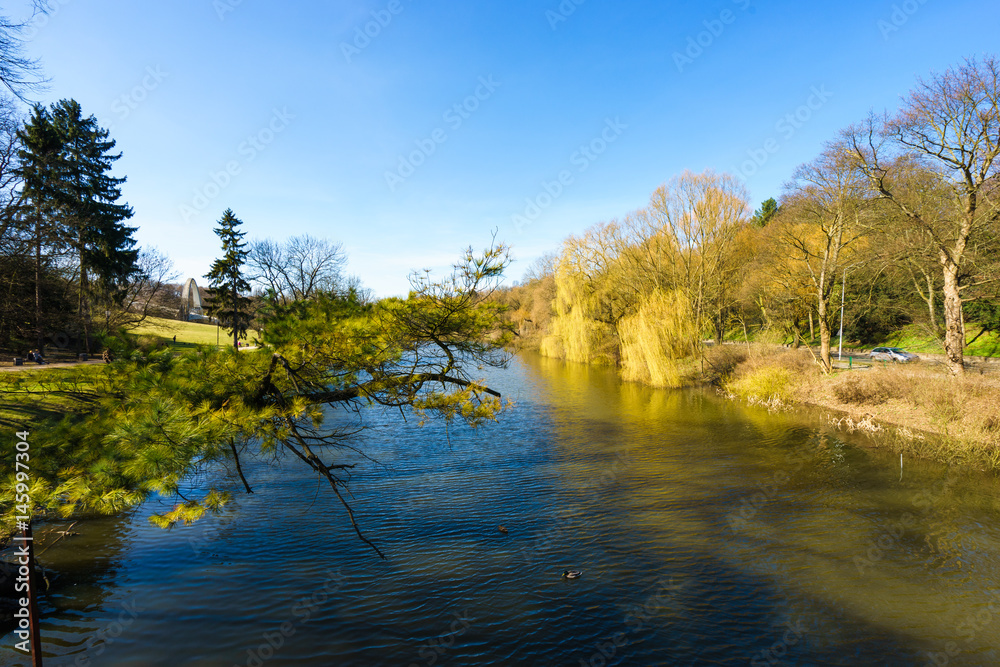 river in a park on a sunny day