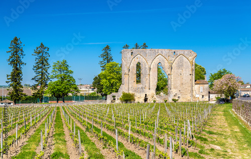 Fotobehang Vineyards and ruins of an ancient convent in Saint Emilion, France