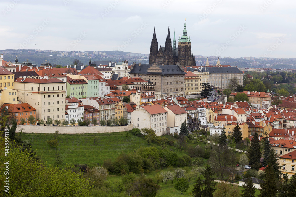 Spring Prague City with gothic Castle and the green Nature and flowering Trees, Czech Republic